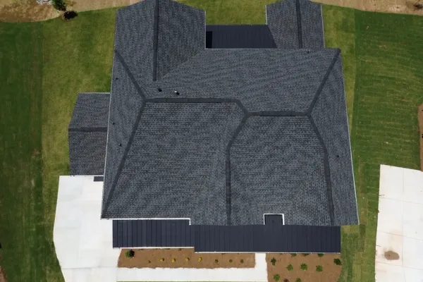 Fallen trees on your roof